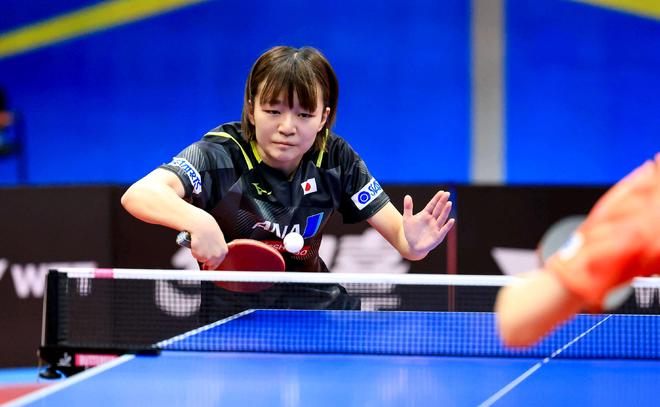 对比案例 对比案例